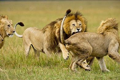 《坦克世界》开发商机甲新游《钢铁猎手》停服 抢侧仅3个月